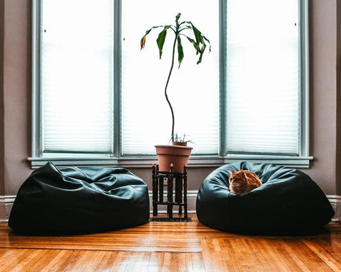 Black Beanbag